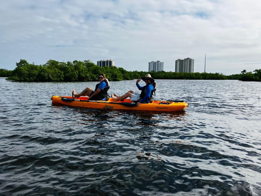 From Naples, FL: Marco Island Mangroves Kayak or Paddle Tour - Itinerary