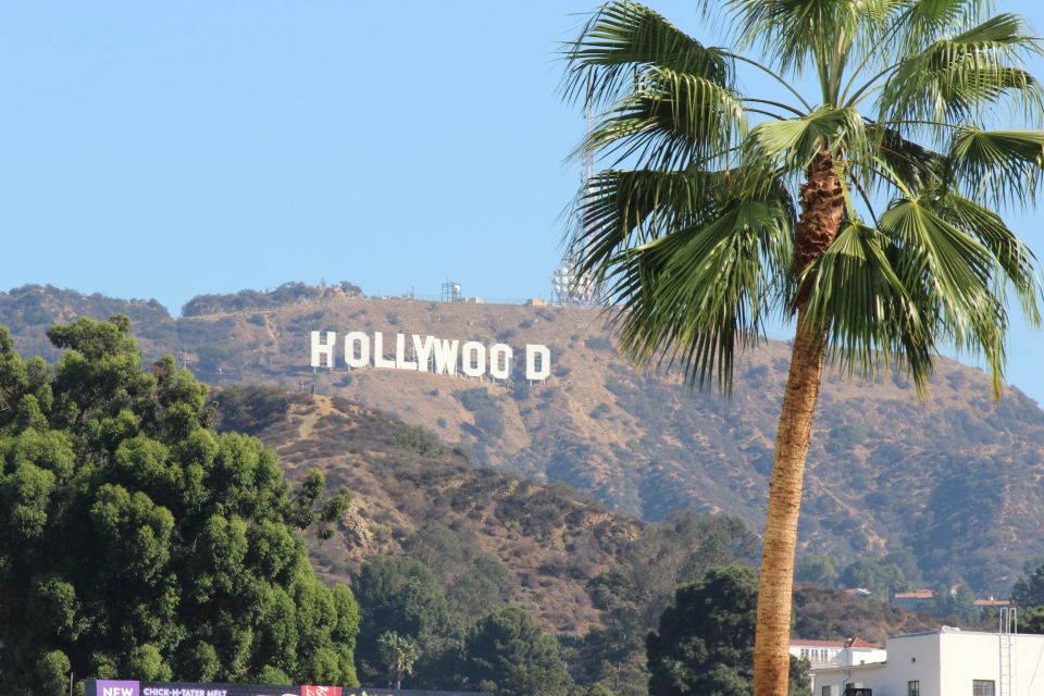 From Orange County: Hollywood and Beverly Hills Van Tour - Important Information
