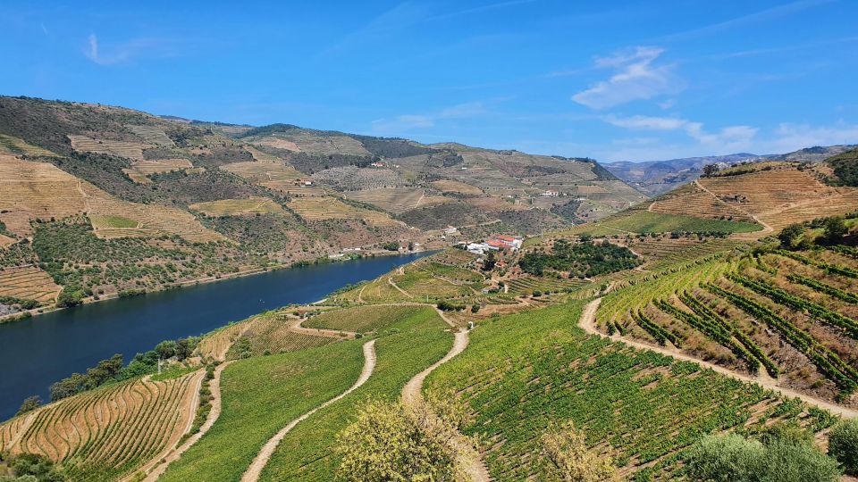 From Porto Day Douro Valley Wine Tour 2 Wineries & Lunch - Experience