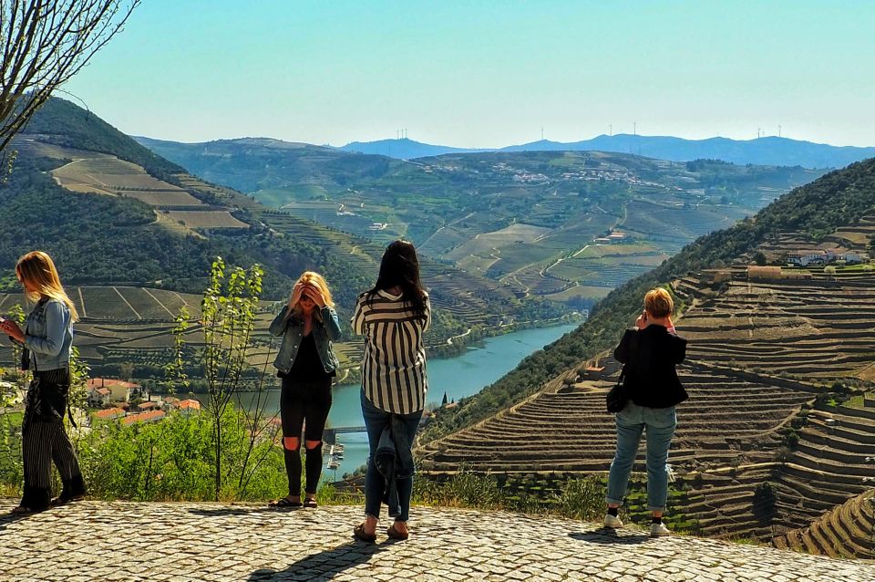 From Porto: Douro Valley Wine Tour With River Cruise & Lunch - Itinerary