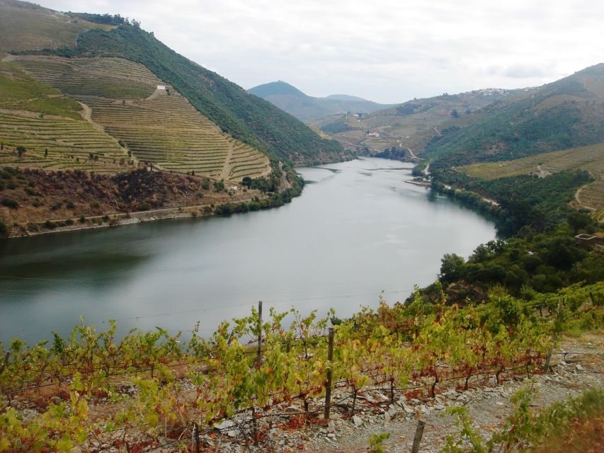 From Porto: Full-Day Douro Valley Wine Tour - Itinerary Highlights