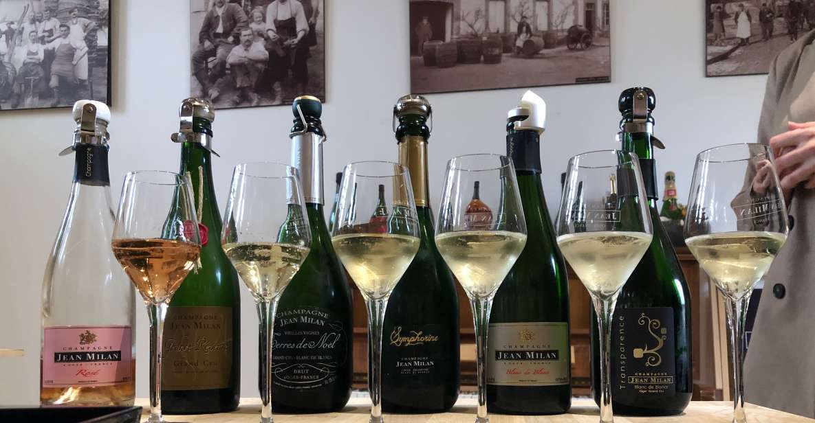 From Reims/Epernay: Private Gold Champagne Tasting Tour - Booking Options
