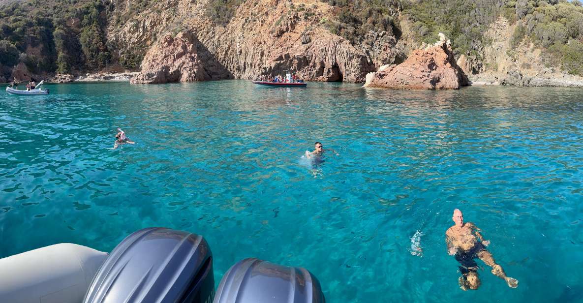 From Sagone/Cargèse: Scandola & Calanques De Piana Boat Tour - Group Size and Highlights
