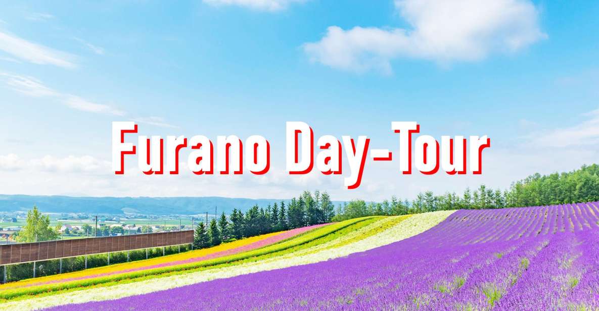 From Sapporo: 10-hour Customized Private Tour to Furano - Booking Information