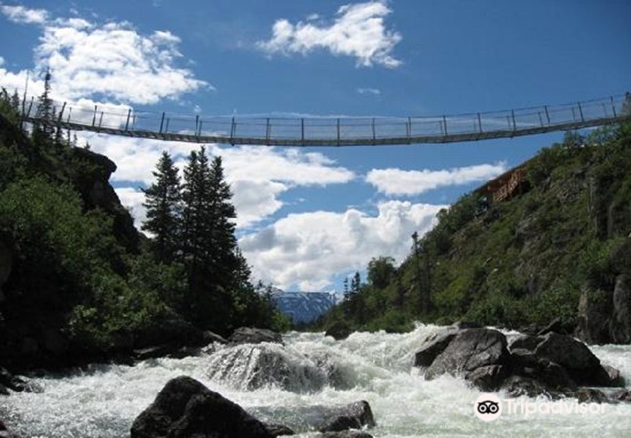 From Skagway: White Pass and Yukon Suspension Bridge Tour - Inclusions