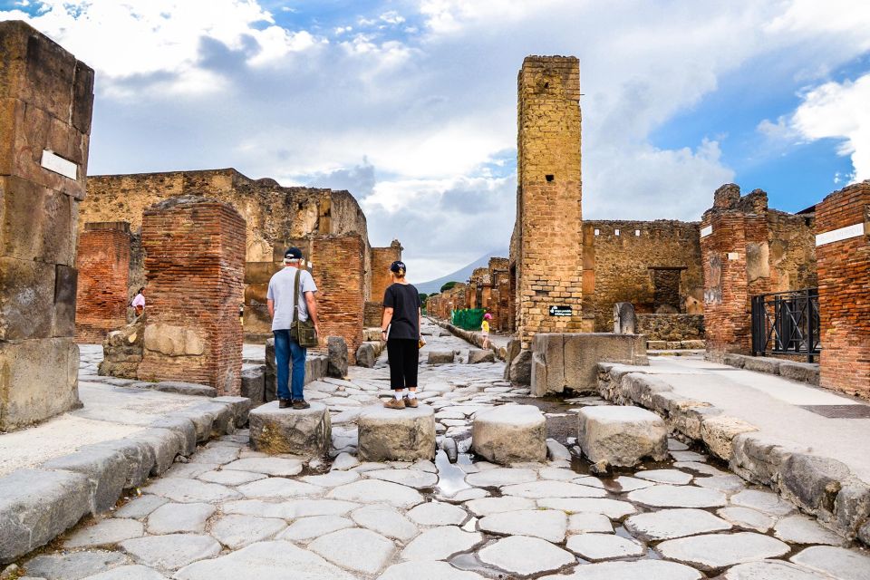 From Sorrento: Pompeii & Wine Tasting Private Tour by Car - Tour Highlights