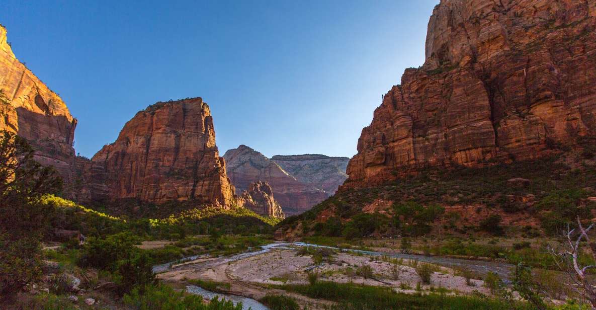 From Springdale: Greater Zion Scenic Hiking Tour - Experience Highlights