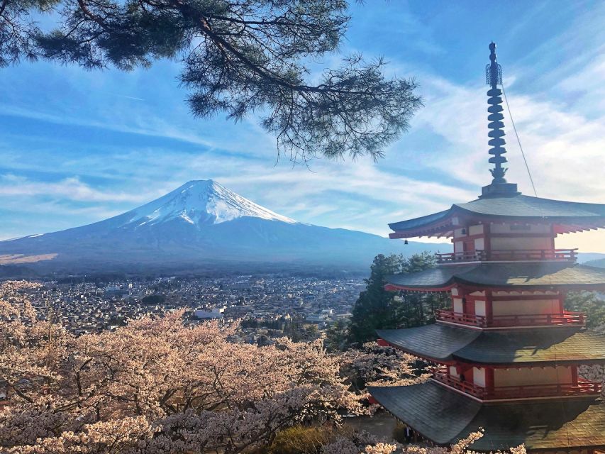 From Tokyo: Private Trip to Mount Fuji and Lake Kawaguchi - Tour Highlights