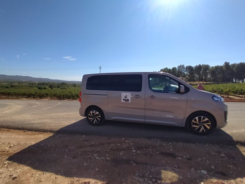 From Valencia: Requena Wine Tour With Tastings - Customer Reviews