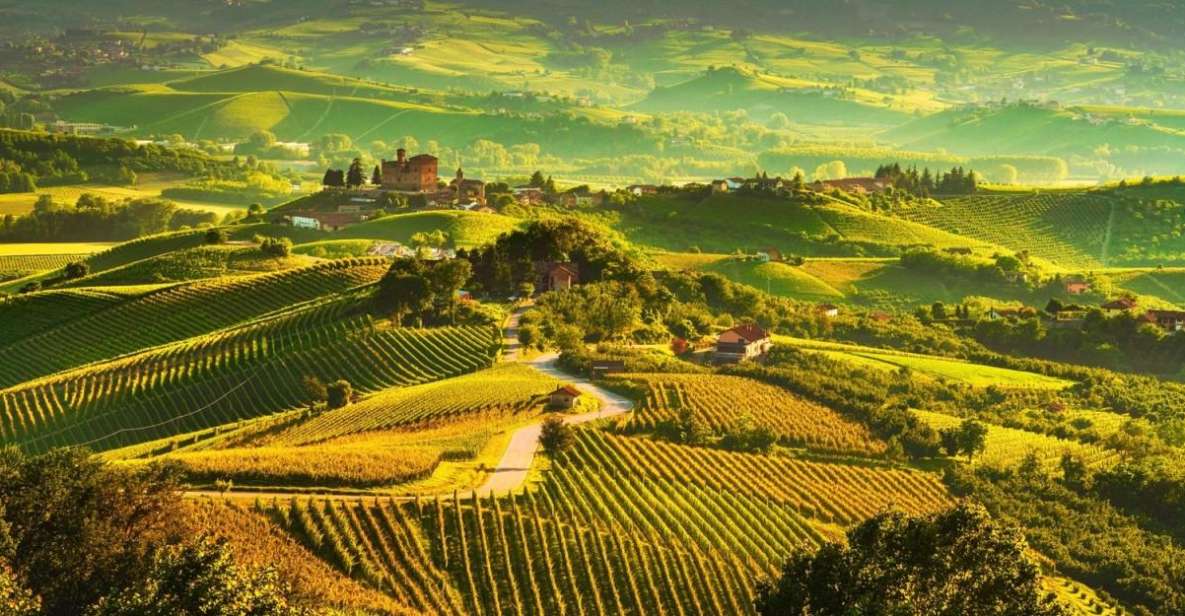 Full-Day Langhe Region Tour With Wine Tasting Experience - Highlights