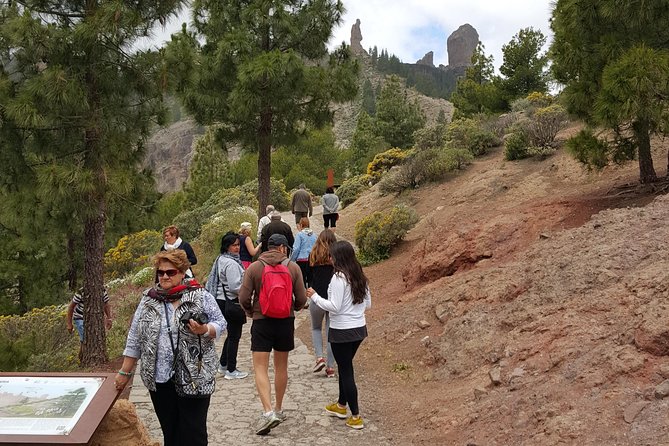 Full Day to Bandama Volcano, Center and High Peaks of Gran Canaria & Roque Nublo - Logistics and Requirements