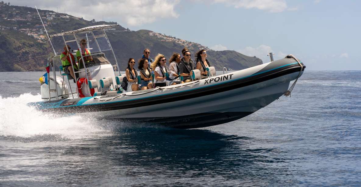 Funchal: Dolphins and Whales Watching Tour by RIB Boat - Tour Inclusions