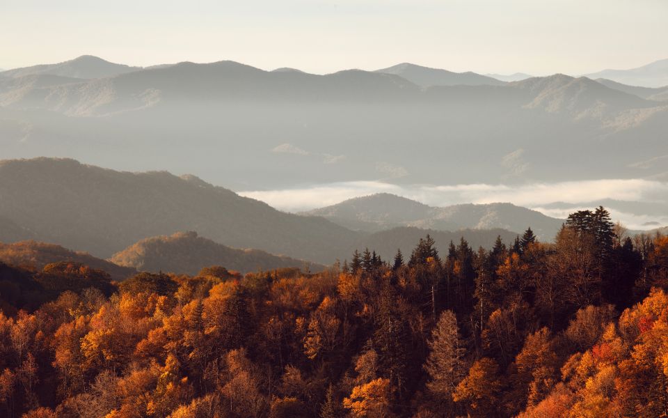 Gatlinburg: App-Based Great Smoky Mountains Park Audio Guide - Language and Highlights