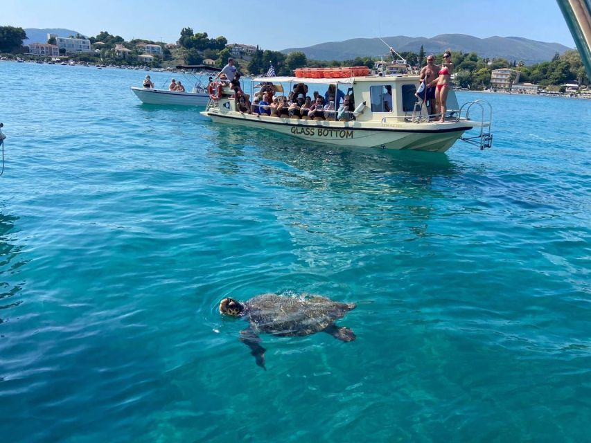 Glass Boat Cruises to Spot Turtles - Cancellation Policy