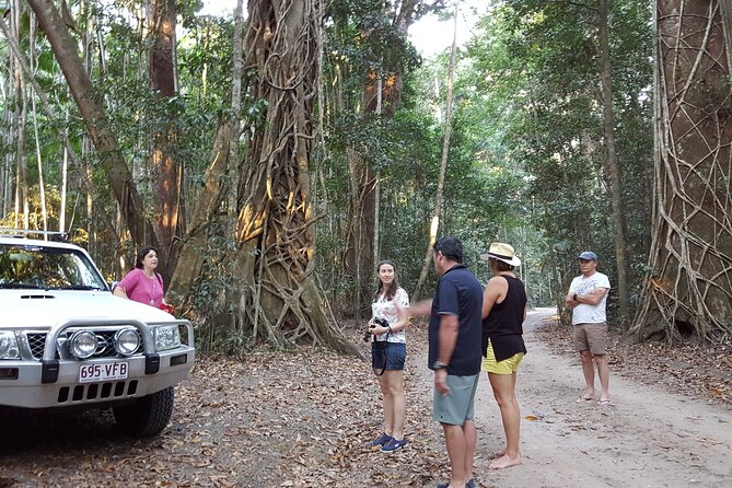 Great Beach Drive 4WD Tour - Private Charter From Noosa to Rainbow Beach - Essential Tour Information