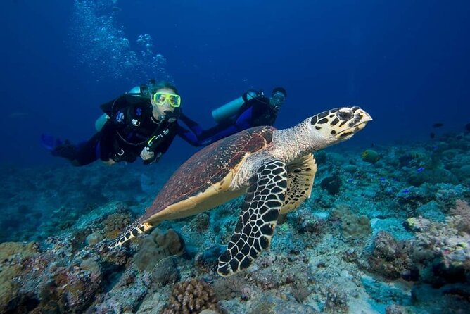 Great Keppel Island Day Trip Bundle From Yeppoon - Reviews and Ratings Overview