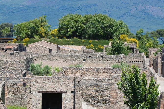 Half Day Pompeii Sightseeing Tour From Sorrento - Travel Itinerary