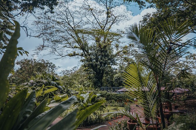 Hanging Bridges Walk in Arenal Volcano - Traveler Reviews and Experiences