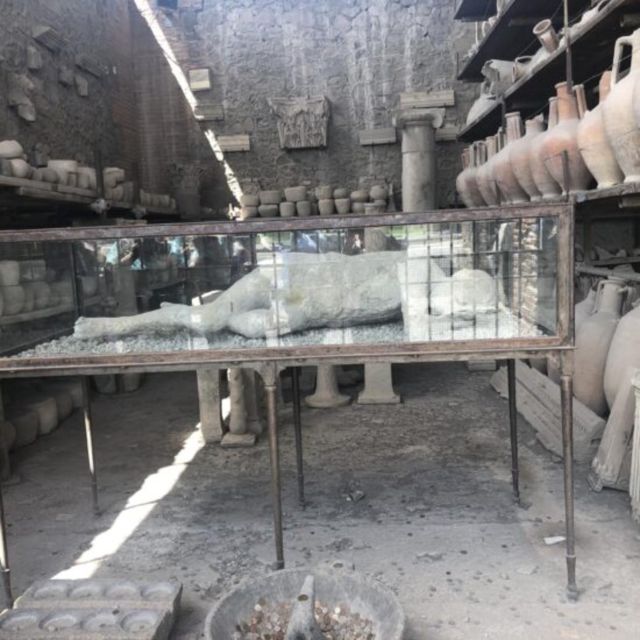 Herculaneum, Pompeii and Paestum Private Day Tour From Rome - Inclusions