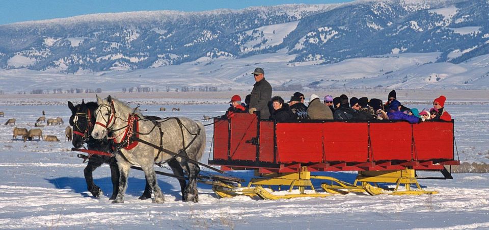 Jackson: Grand Teton and National Elk Refuge Winter Day Trip - Lunch in Jackson