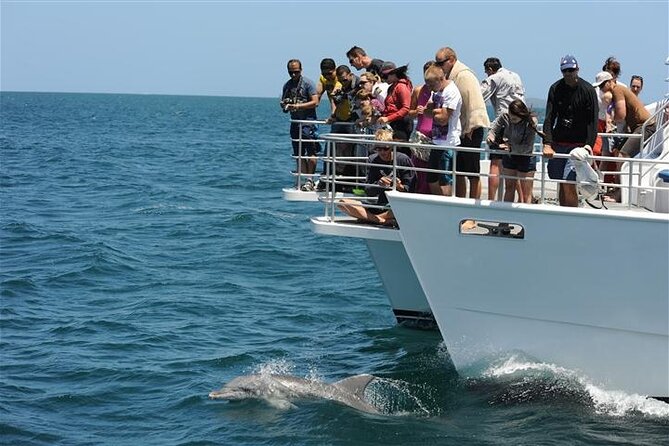 Jervis Bay Dolphin Cruise - Onboard Facilities and Services