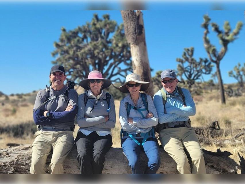 Joshua Tree: Half-Day Private Hike of the National Park - Detailed Description