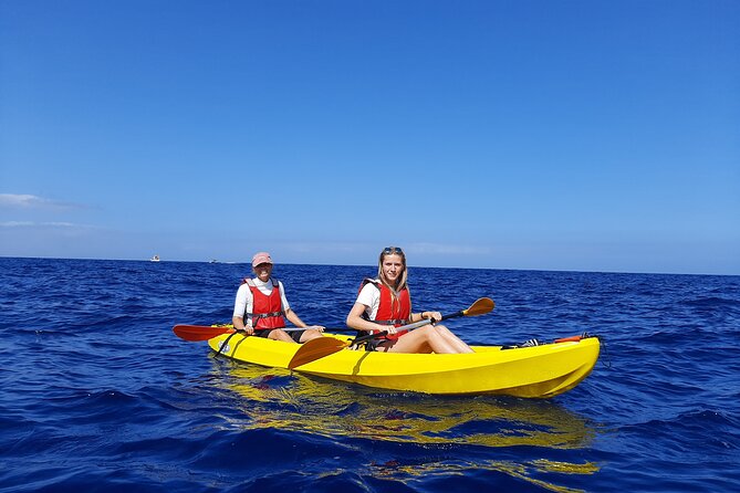 Kayak Safari With Dolphin and Turtle Watching in Guaza - Accessibility and Recommendations