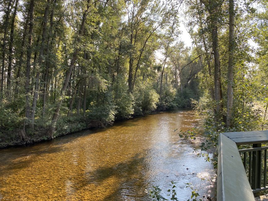 Kelowna: Mission Creek Salmon Run Audio Tour by E-Bike - Inclusions Provided