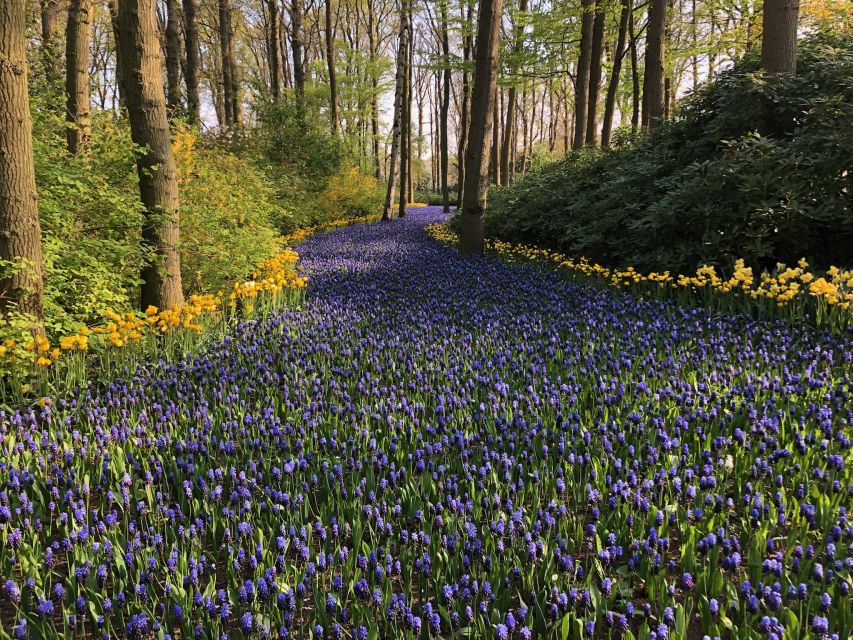 Keukenhof, Flower Fields & Zaanse Schans Windmills Tour - Customer Reviews