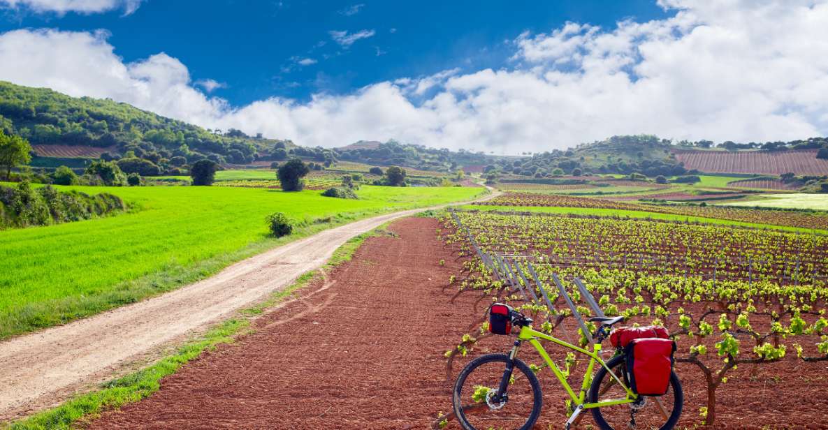 La Rioja: Private Tour to 3 Wineries With Tastings - Booking and Reservations