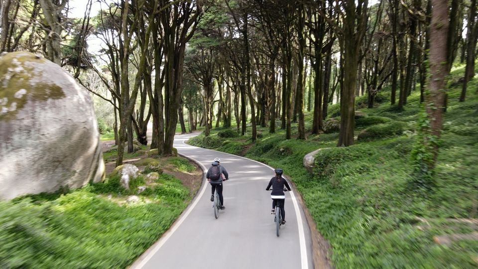 Lisbon: E-Bike Trip From the Sintra Mountains to Cascais Sea - Cycling Experience