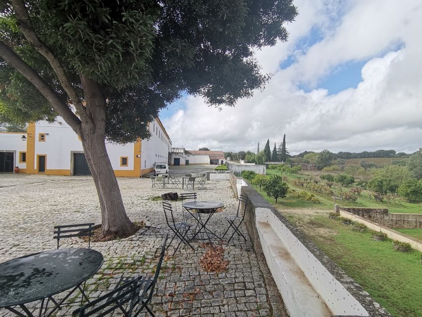 Lisbon: Private Tour Evora With Wine Tasting at the Cartuxa - What to Bring and Restrictions