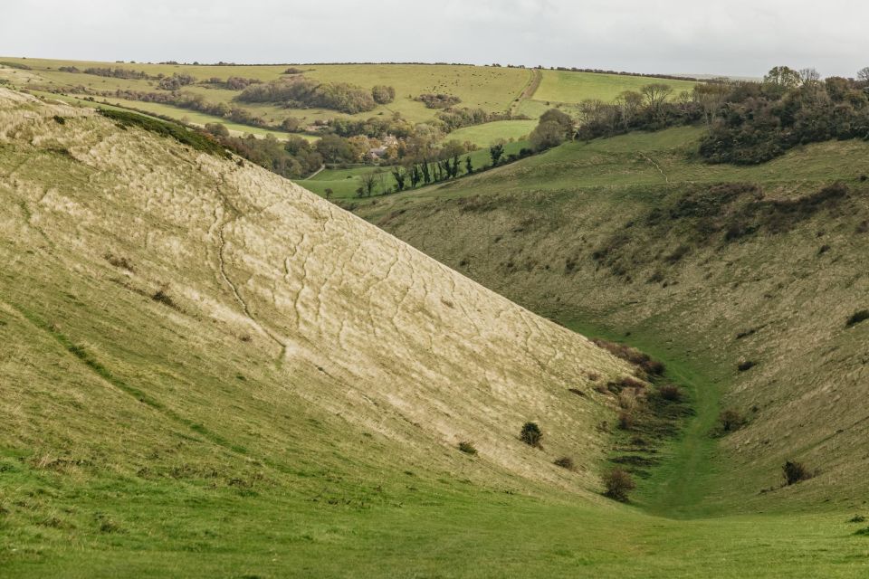 London: Set out on a Guided Tour of South Downs White Cliffs - Highlights