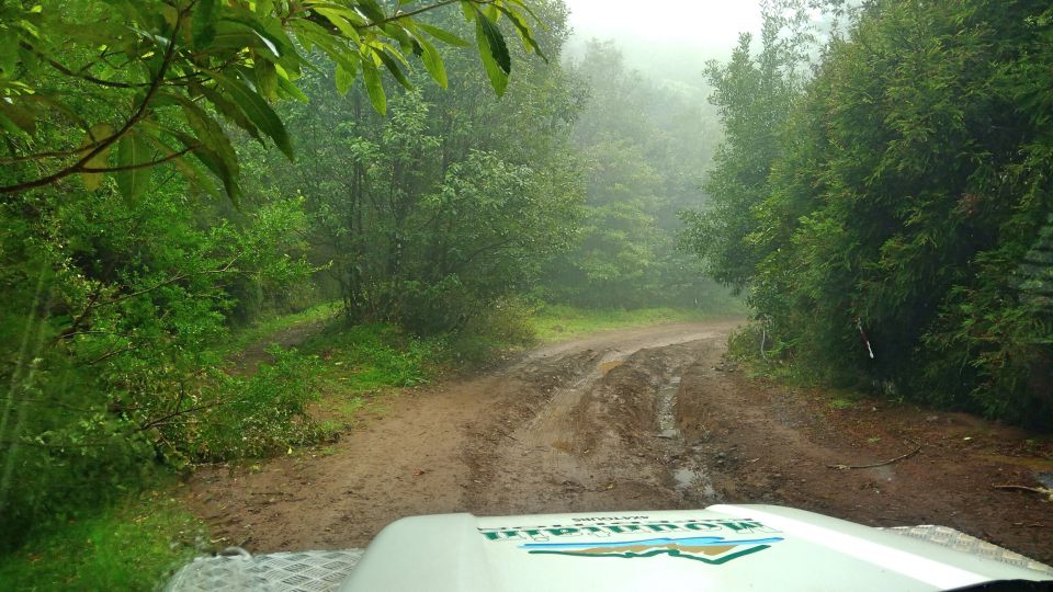 Madeira: Mini-Combo East Challenge: Jeep Safari + Levada - Meeting Point and Information