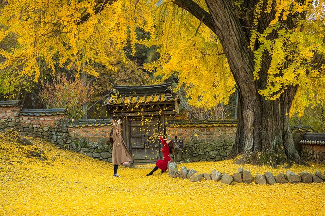 Memorable Autumn Foliage Random Tour (From Busan) - Cancellation and Refund Policy