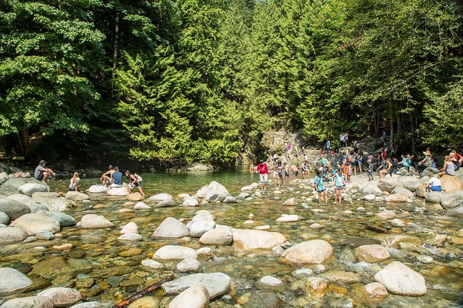 Mesmerizing Nature Walk in Lynn Canyon Park - Discovering Local Flora and Fauna