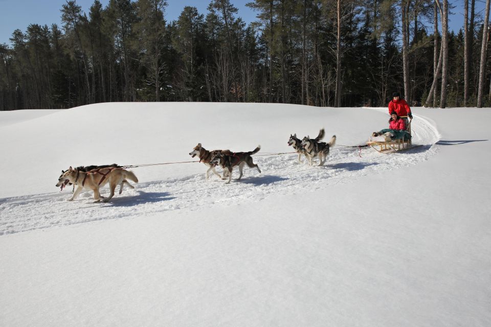 Mont-Tremblant: Dogsledding Experience - Customer Reviews