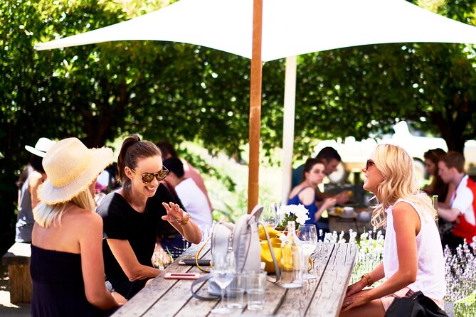 Montalto Vineyard: Mornington Peninsula Discovery Wine Tasting and Lunch - Booking and Cancellation Policy