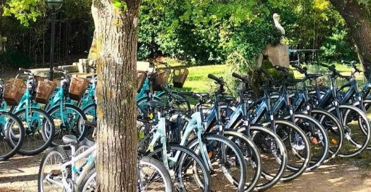 Monteux: Bike Rental - Exploring Côte Dazur