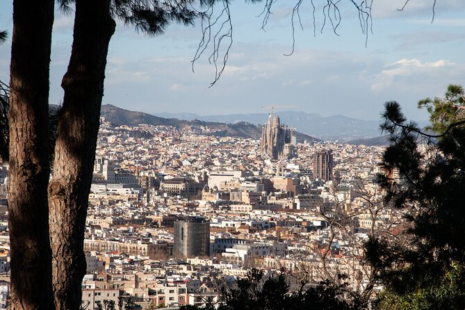 Montjuïc Walking Tour: The Magical Side of Barcelona - What to Expect