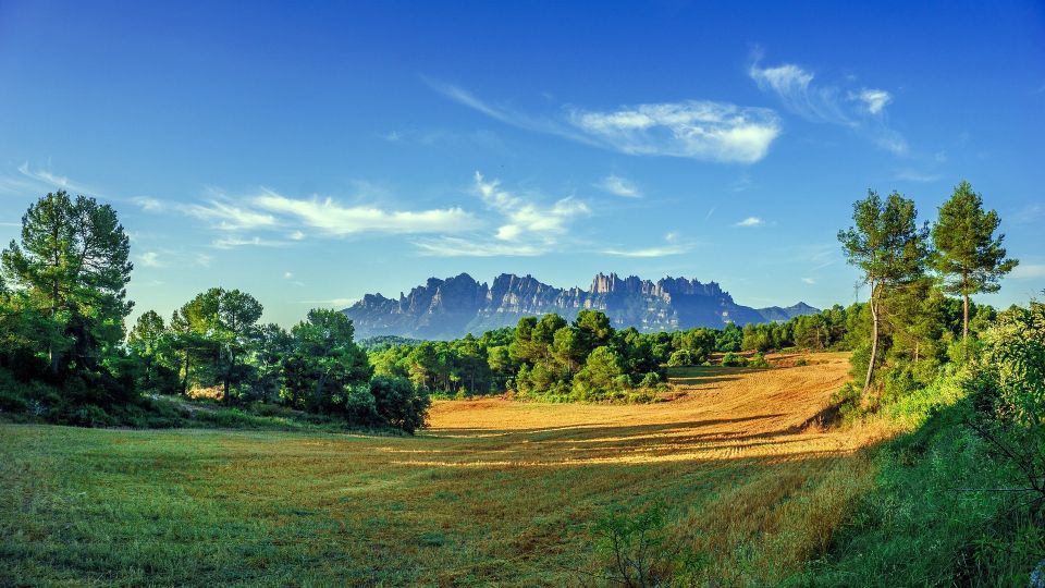 Montserrat: Private Half-Day Tour From Barcelona - Language and Pickup