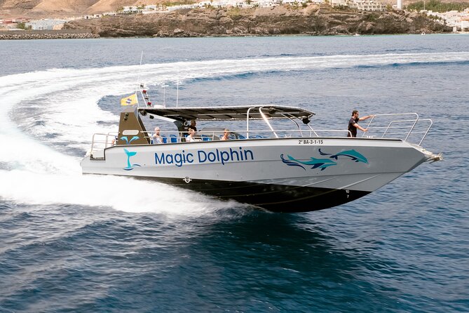 Morro Jable: 2 Hours Magic Dolphin & Whale Watching With Drinks & Swim Stop. - Highlights