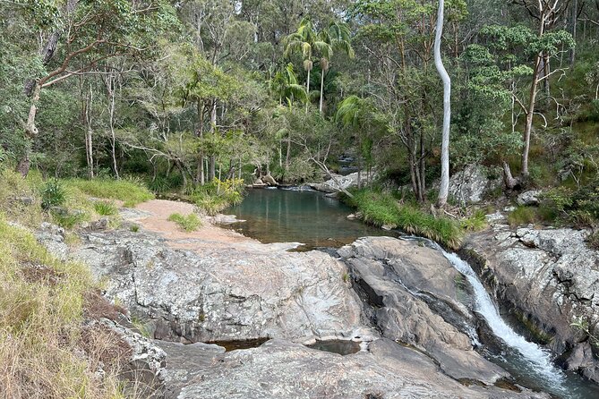 Mt Tamborine 8-hour Guided Tour by Minivan in the Scenic Rim - What to Expect