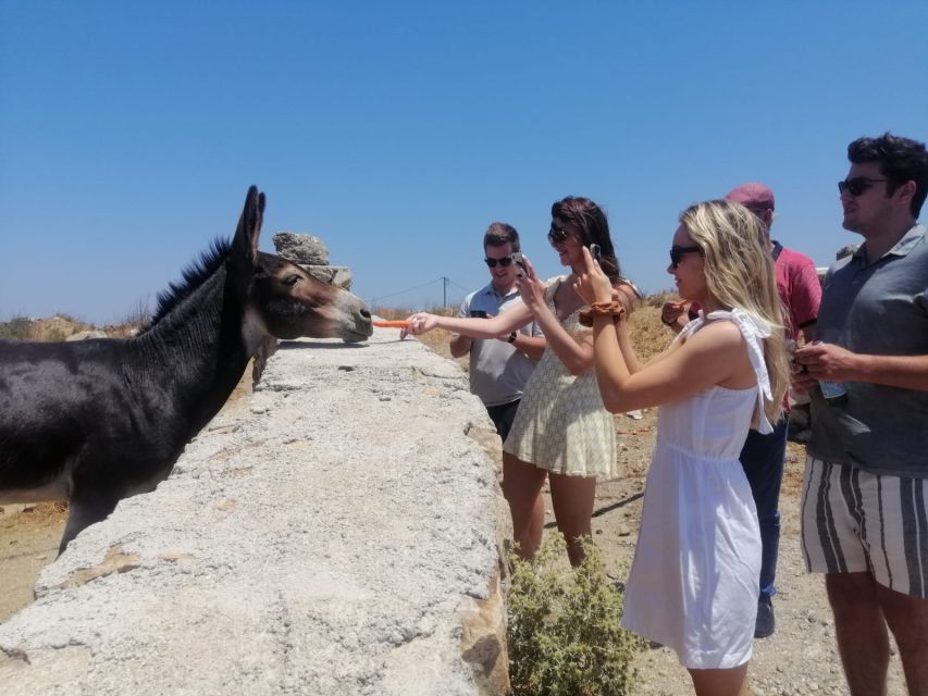 Mykonos: Highlights Tour With Panagia Tourliani Monastery - Inclusions and Cancellation Policy