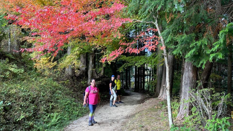 Nagoya: Full-day Kisoji Nakaendo Trail Tour - Guided Trail Walk Information