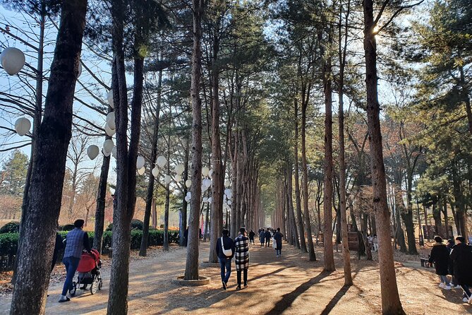 Nami Island & Garden of Morning Calm Private Tour - Whats Included in This Tour