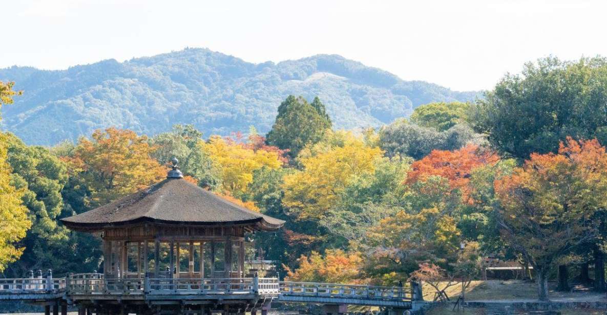 Nara: Private City Tour With A Local Guide - Full Tour Description