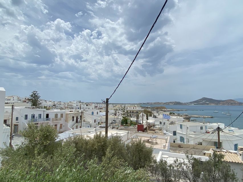 Naxos: Food Walking Tour & Cooking Class With Meal & Drinks - Tour Experience