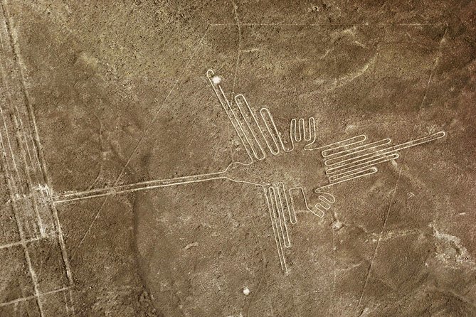 Nazca Lines & Ballestas Islands Private Tour From Lima - Logistics and Itinerary