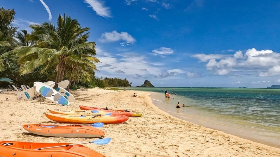 Oahu: Secret Beach Circle Island Adventure - Experience Highlights